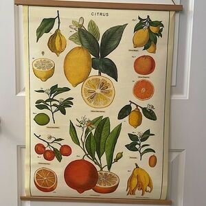 Citrus Motif Paper Scroll